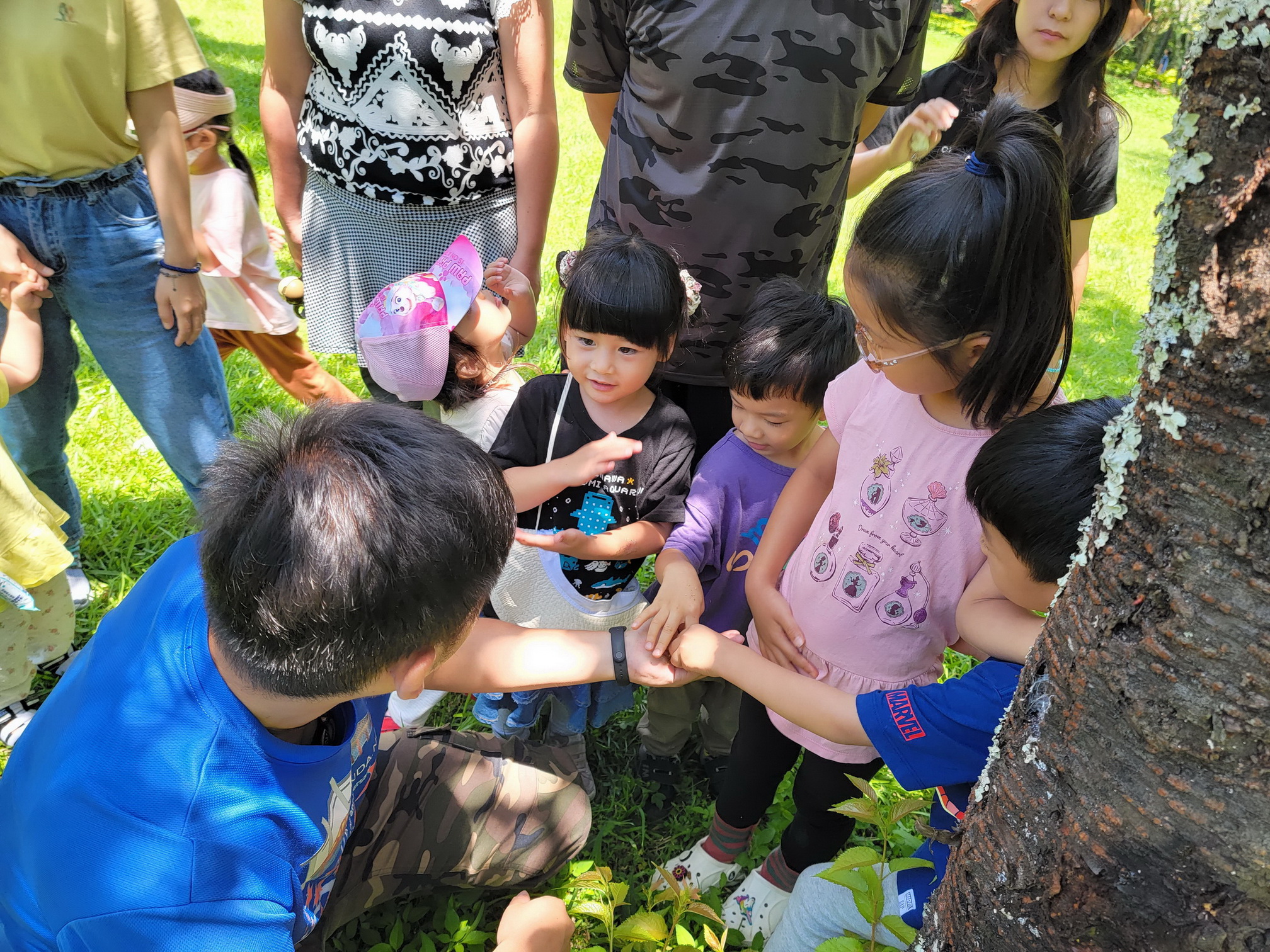 奧萬大賞螢秘境～來去森林住一晚吧（圖：農業部林業及自然保育署南投分署 提供）