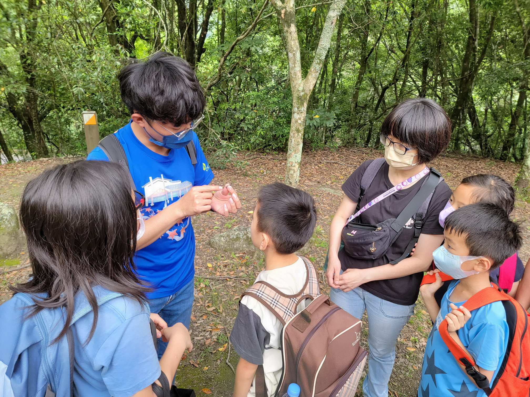 奧萬大賞螢秘境～來去森林住一晚吧（圖：農業部林業及自然保育署南投分署 提供）