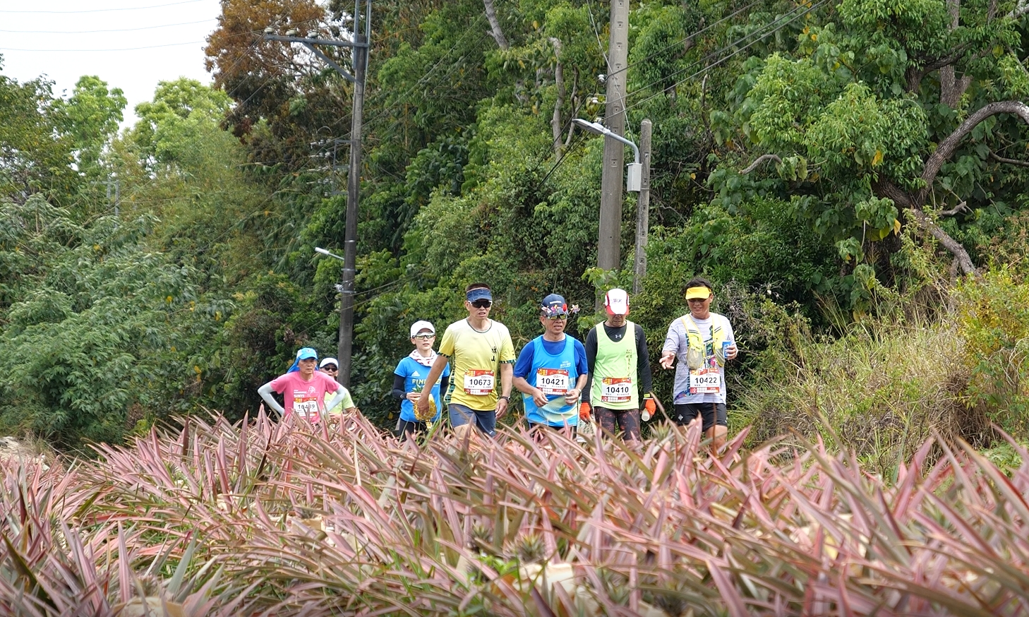 關廟鳳梨吃到飽「2024大亞旺萊馬拉松」31日登場 近7,000人一同跑進旺萊路（圖：大亞集團 提供）